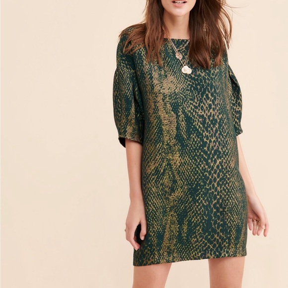 Eve Gravel Snake Print dress - Picture 2 of 3